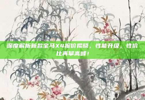 深度解析新款宝马X4报价揭晓,性能升级,性价比再攀高峰!