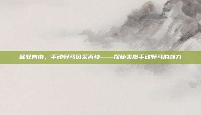驾驭自由，手动野马风采再续——探秘美规手动野马的魅力