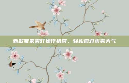 新款宝来雾灯操作指南，轻松应对雨雾天气