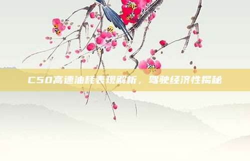 C50高速油耗表现解析,驾驶经济性揭秘