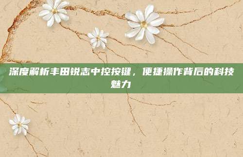 深度解析丰田锐志中控按键，便捷操作背后的科技魅力