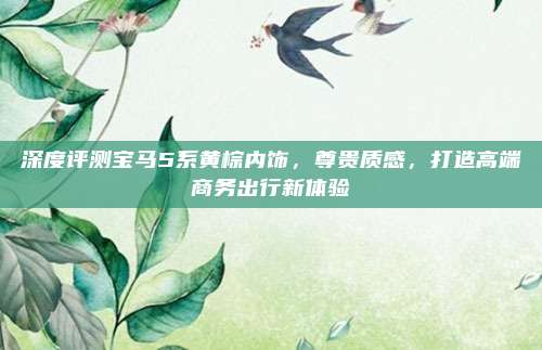 深度评测宝马5系黄棕内饰,尊贵质感,打造高端商务出行新体验