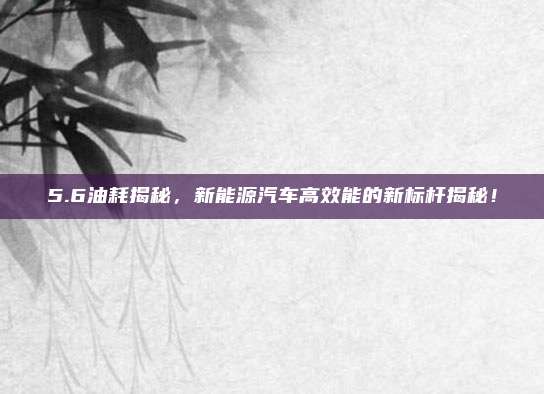 5.6油耗揭秘,新能源汽车高效能的新标杆揭秘!