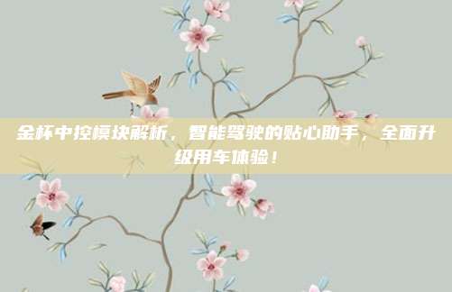 金杯中控模块解析,智能驾驶的贴心助手,全面升级用车体验!