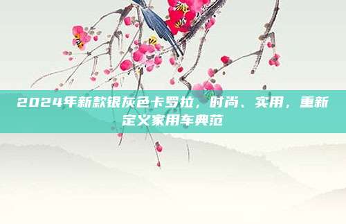 2024年新款银灰色卡罗拉，时尚、实用，重新定义家用车典范