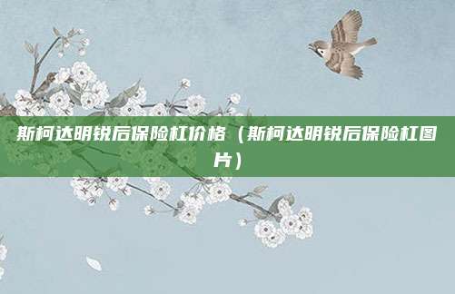 斯柯达明锐后保险杠价格（斯柯达明锐后保险杠图片）