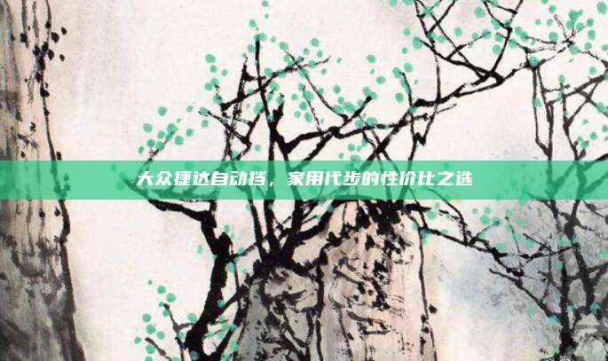 大众捷达自动挡，家用代步的性价比之选