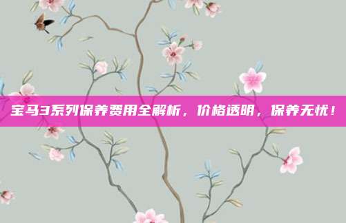 宝马3系列保养费用全解析，价格透明，保养无忧！