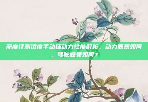 深度评测凌度手动挡动力性能解析，动力表现如何，驾驶感受如何？