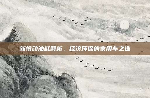 新悦动油耗解析，经济环保的家用车之选