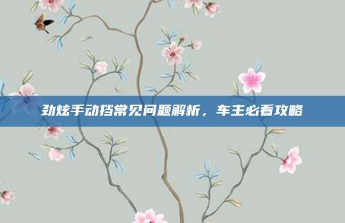 劲炫手动挡常见问题解析，车主必看攻略