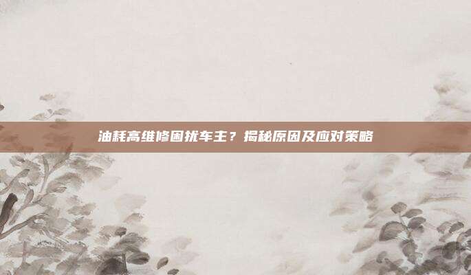 油耗高维修困扰车主？揭秘原因及应对策略