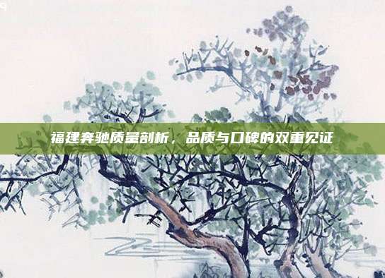 福建奔驰质量剖析，品质与口碑的双重见证