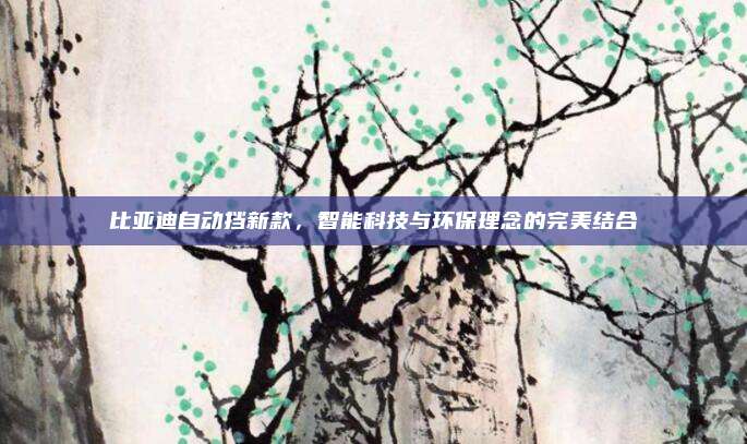 比亚迪自动挡新款,智能科技与环保理念的完美结合