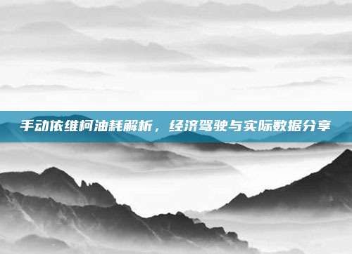 手动依维柯油耗解析，经济驾驶与实际数据分享