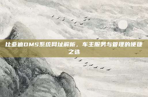 比亚迪DMS系统网址解析，车主服务与管理的便捷之选