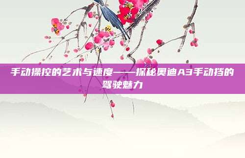 手动操控的艺术与速度——探秘奥迪A3手动挡的驾驶魅力