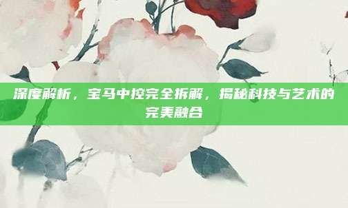 深度解析,宝马中控完全拆解,揭秘科技与艺术的完美融合