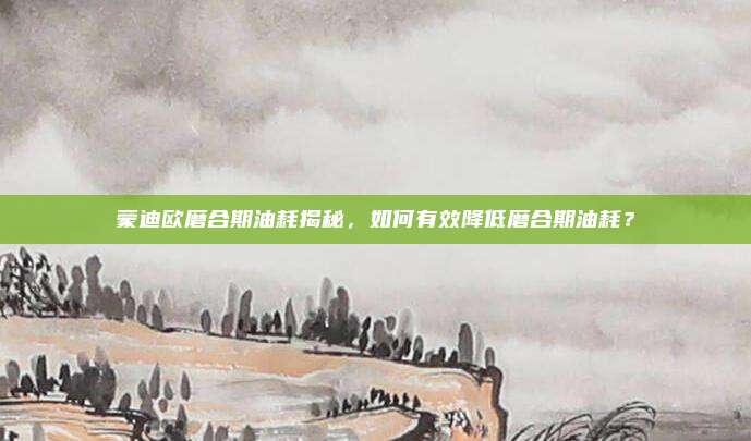 蒙迪欧磨合期油耗揭秘，如何有效降低磨合期油耗？