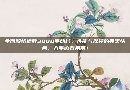 全面解析标致3008手动档,性能与操控的完美结合,入手必看指南!