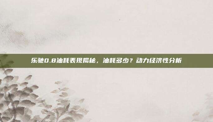 乐驰0.8油耗表现揭秘,油耗多少?动力经济性分析