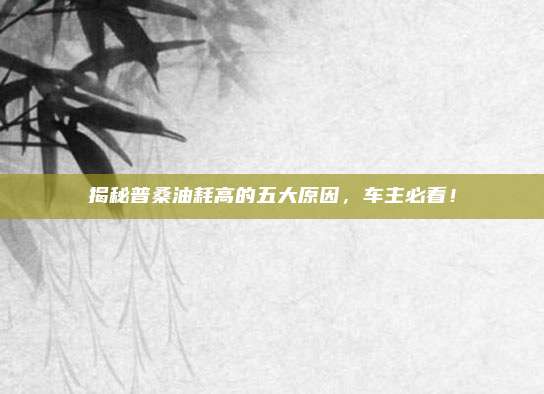 揭秘普桑油耗高的五大原因，车主必看！
