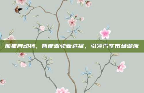 熊猫自动挡，智能驾驶新选择，引领汽车市场潮流