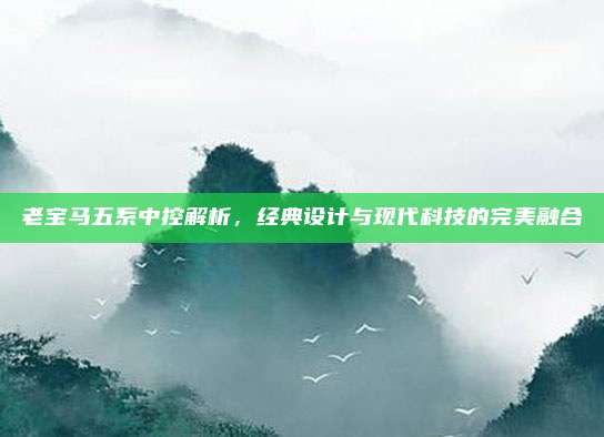 老宝马五系中控解析，经典设计与现代科技的完美融合