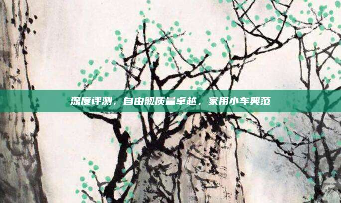 深度评测,自由舰质量卓越,家用小车典范