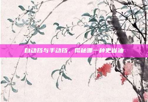 自动挡与手动挡，揭秘哪一种更省油