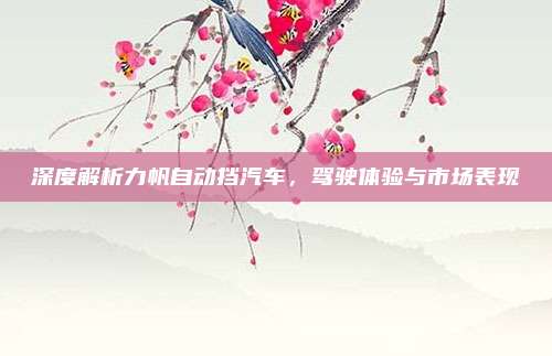 深度解析力帆自动挡汽车，驾驶体验与市场表现