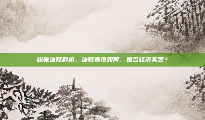 骏驰油耗解析，油耗表现如何，是否经济实惠？