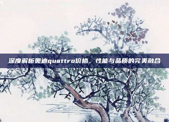 深度解析奥迪quattro价格，性能与品质的完美融合