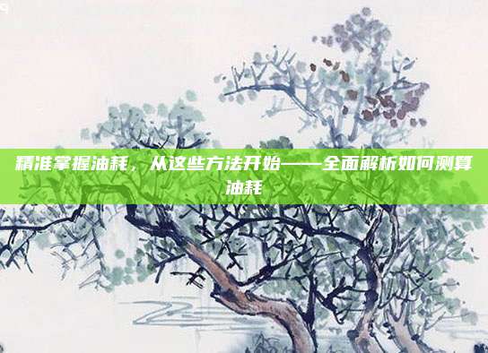 精准掌握油耗，从这些方法开始——全面解析如何测算油耗