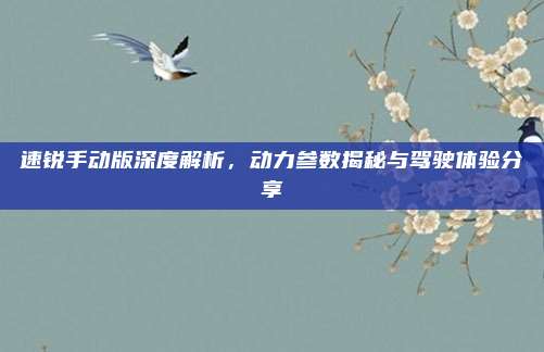 速锐手动版深度解析，动力参数揭秘与驾驶体验分享