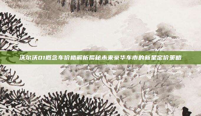 沃尔沃01概念车价格解析揭秘未来豪华车市的新星定价策略