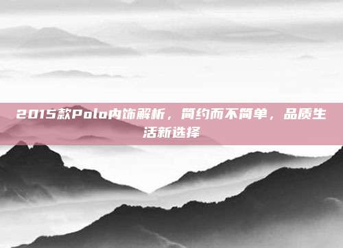 2015款Polo内饰解析，简约而不简单，品质生活新选择