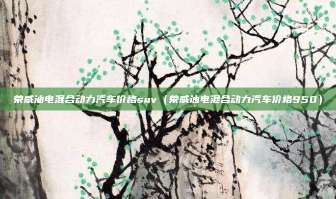 荣威油电混合动力汽车价格suv（荣威油电混合动力汽车价格950）