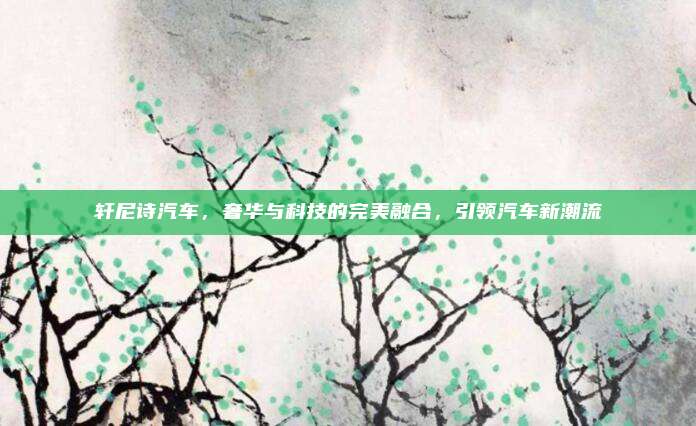 轩尼诗汽车,奢华与科技的完美融合,引领汽车新潮流