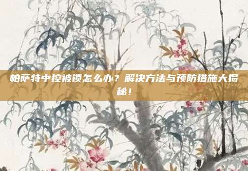 帕萨特中控被锁怎么办?解决方法与预防措施大揭秘!