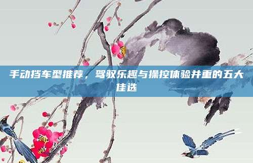 手动挡车型推荐,驾驭乐趣与操控体验并重的五大佳选
