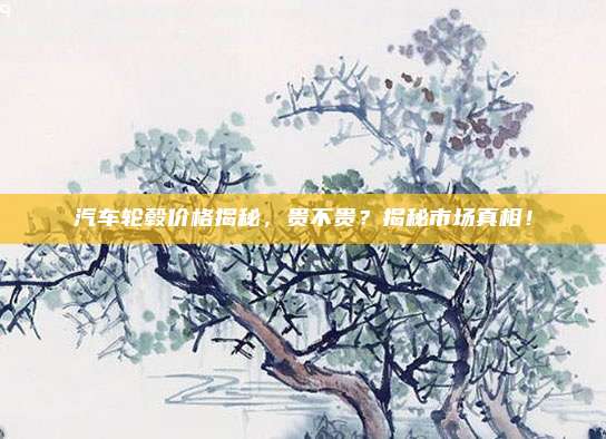 汽车轮毂价格揭秘,贵不贵?揭秘市场真相!