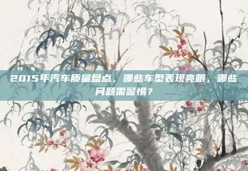2015年汽车质量盘点,哪些车型表现亮眼,哪些问题需警惕?