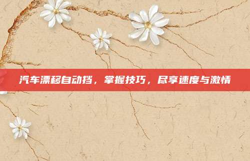 汽车漂移自动挡,掌握技巧,尽享速度与激情
