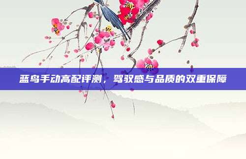 蓝鸟手动高配评测,驾驭感与品质的双重保障