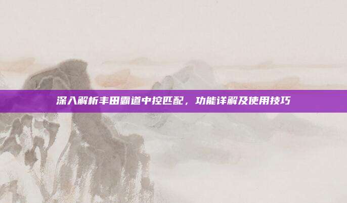 深入解析丰田霸道中控匹配,功能详解及使用技巧