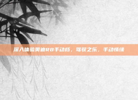 深入体验奥迪R8手动档,驾驭之乐,手动情缘