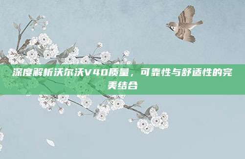深度解析沃尔沃V40质量,可靠性与舒适性的完美结合