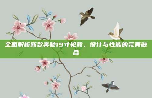 全面解析新款奔驰19寸轮毂,设计与性能的完美融合