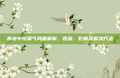 奔驰中控漏气问题解析,原因、影响及解决方法